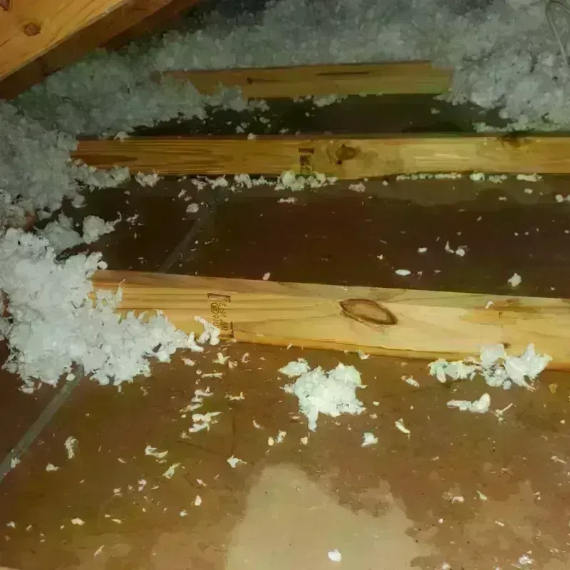 Attic Water Damage in Cathedral City, CA